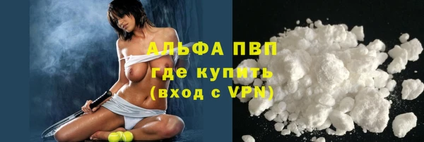 спиды Покачи